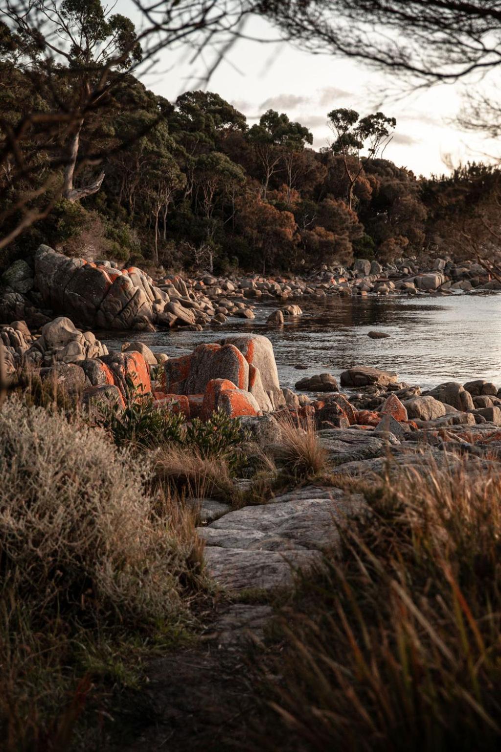 Driftwood Rest Binalong Bay Sleeps 4 Villa Екстериор снимка